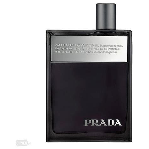 prada amber pour femme|amber pour homme intense.